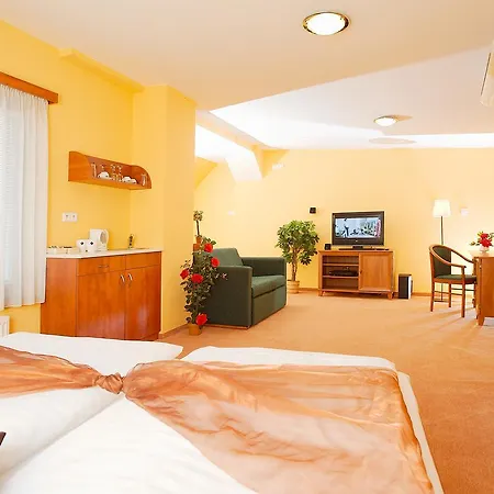 Paganini Hotel Brandys nad Labem-Stara Boleslav